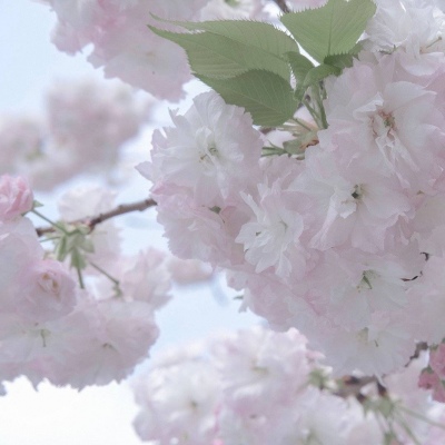 兽设质感表现技巧Furry群